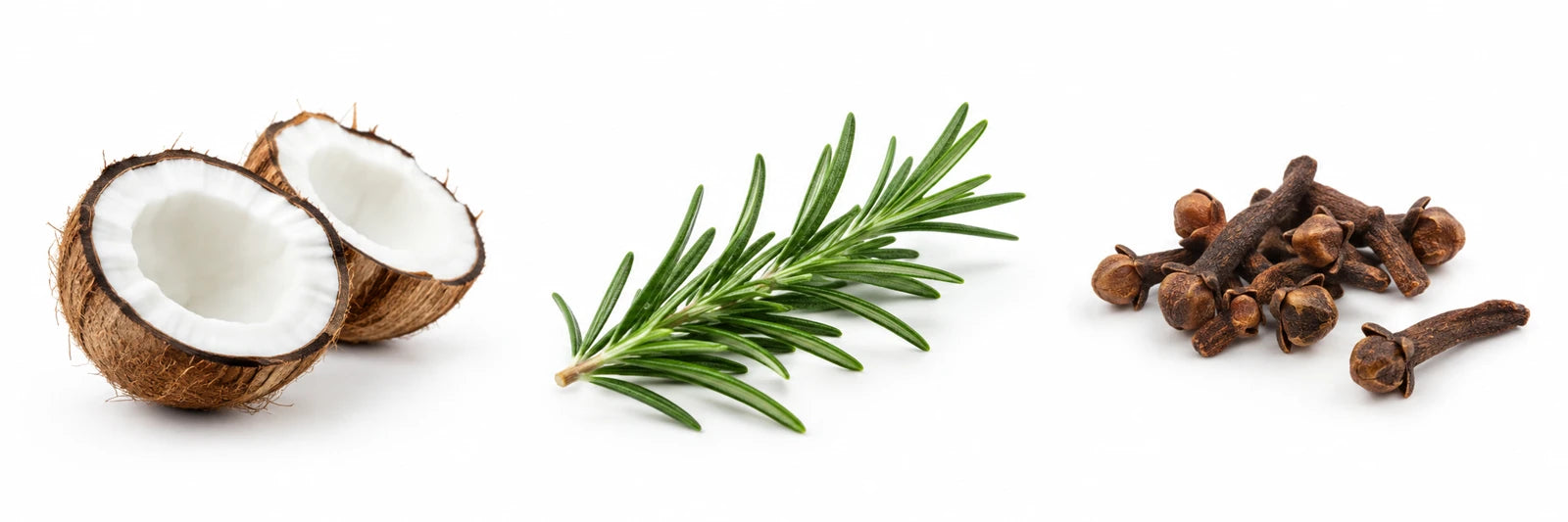 Coconut halves, a rosemary sprig and dried cloves